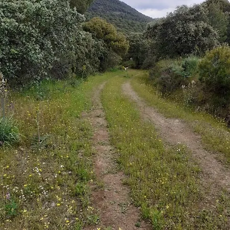 Casa vacanze Cortijo Andaluz En Sierra Morena - Naturaleza Villaviciosa de Córdoba