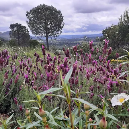Nyaraló Cortijo Andaluz En Sierra Morena - Naturaleza *